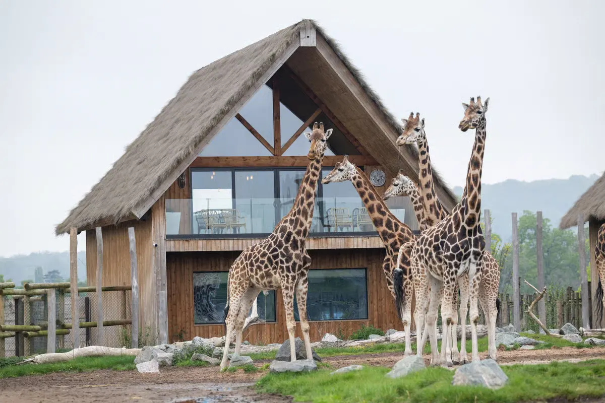 West Midlands Safari Park
