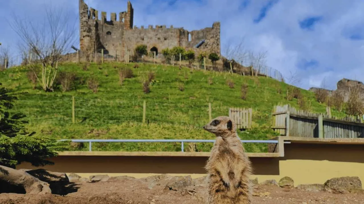 Dudley Zoo & Castle